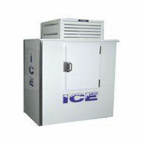ICB-1